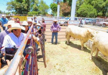 BRINDAN GANADEROS RESPALDO UNÁNIME A DAVID MONREAL RUMBO A LA GUBERNATURA DE ZACATECAS