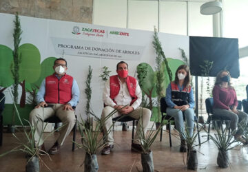 INVITAN A ADOPTAR UN ÁRBOL; LA META ES ENTREGAR 10 MIL