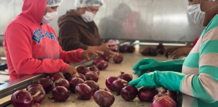 CUMPLIÓ GOBERNADOR CON EL FINANCIAMIENTO PARA LA AGRICULTURA DE NEGOCIOS