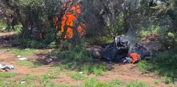 POLICÍA ESTATAL PREVENTIVA UBICÓ Y DESTRUYÓ CAMPAMENTO UTILIZADO POR UN GRUPO DELINCUENCIAL