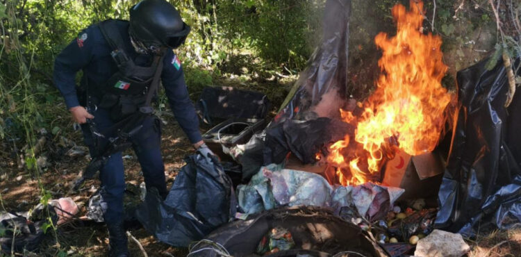 DESMANTELAN DOS CAMPAMENTOS EN COMUNIDADES DE GUADALUPE Y JEREZ