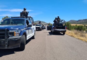 POLICÍA ESTATAL DETUVO A UNO POR LA PORTACIÓN DE UN ARMA DE FUEGO