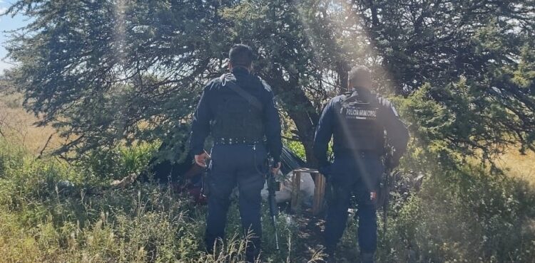 DESTRUYEN SSP Y POLICÍA MUNICIPAL CAMPAMENTO UTILIZADO POR GRUPO DELINCUENCIAL EN PÁNUCO