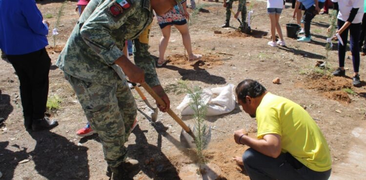 LLEGA EL PROGRAMA “BOSQUE, RESPIRO POR TI” A LA COLONIA JUANA GALLO LLEGA EL PROGRAMA “BOSQUE, RESPIRO POR TI” A LA COLONIA JUANA GALLO