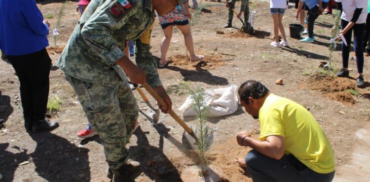 LLEGA EL PROGRAMA “BOSQUE, RESPIRO POR TI” A LA COLONIA JUANA GALLO