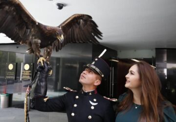 SOLICITA GEOVANNA BAÑUELOS REDOBLAR ESFUERZOS EN LA PRESERVACIÓN DEL ÁGUILA REAL