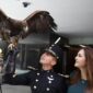 SOLICITA GEOVANNA BAÑUELOS REDOBLAR ESFUERZOS EN LA PRESERVACIÓN DEL ÁGUILA REAL